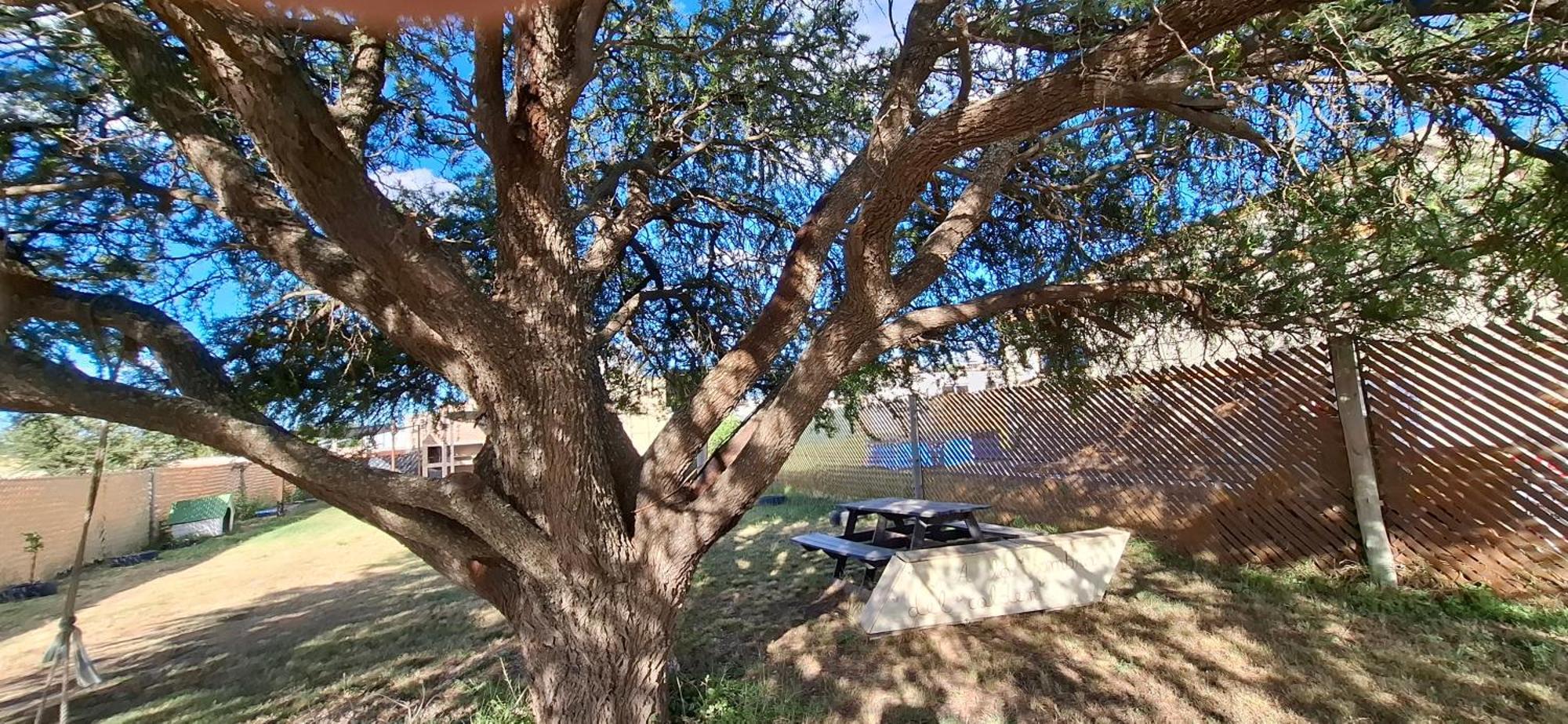 Apartamento A La Sombra Del Calden Santa Rosa  Exterior foto